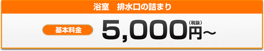浴室　排水口の詰まり 5,000円?