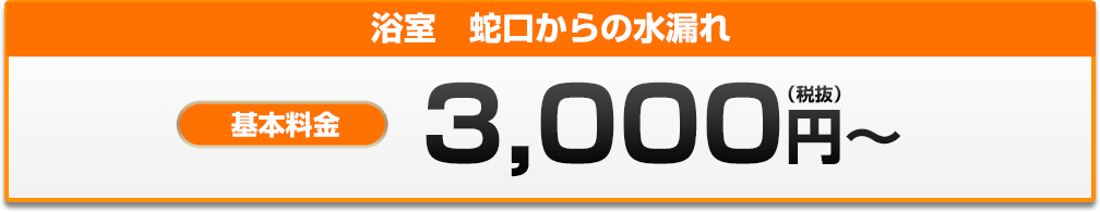 浴室　蛇口からの水漏れ 3,000円?
