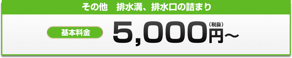 その他　排水溝、排水口の詰まり 5,000円?
